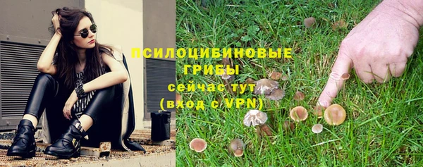 mdpv Краснотурьинск