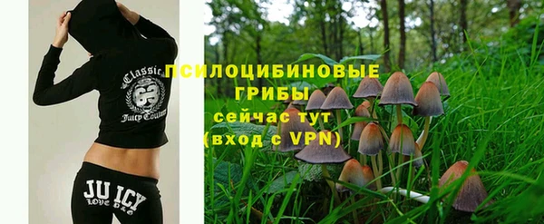 mdpv Краснотурьинск