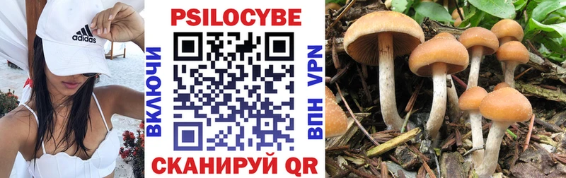 Купить где  Макушино  Псилоцибиновые грибы Psilocybine cubensis 